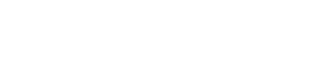 Suomen LVIS-Huolto, logo